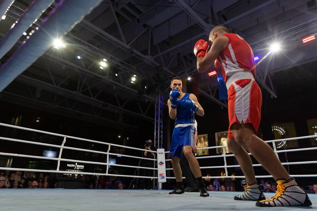 Bokso mačas „United Punch“