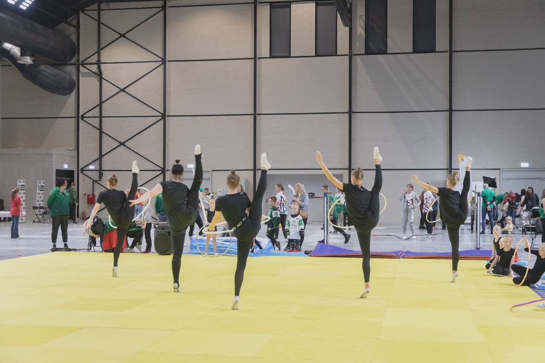 Būrelių mugė atnaujintoje Sporto halėje