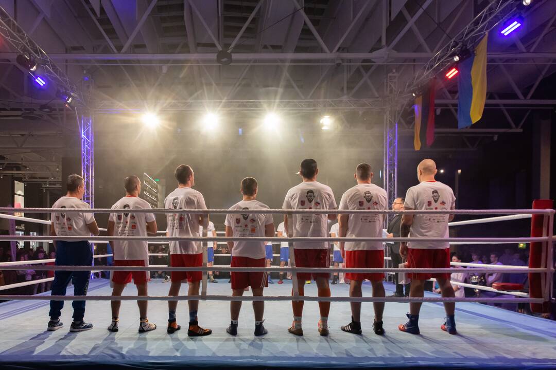 Bokso mačas „United Punch“