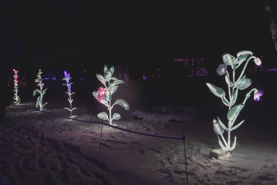 Šviesų festivalis botanikos sode