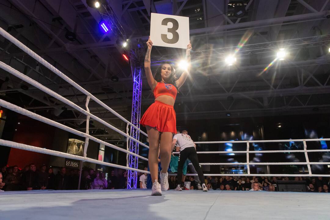 Bokso mačas „United Punch“