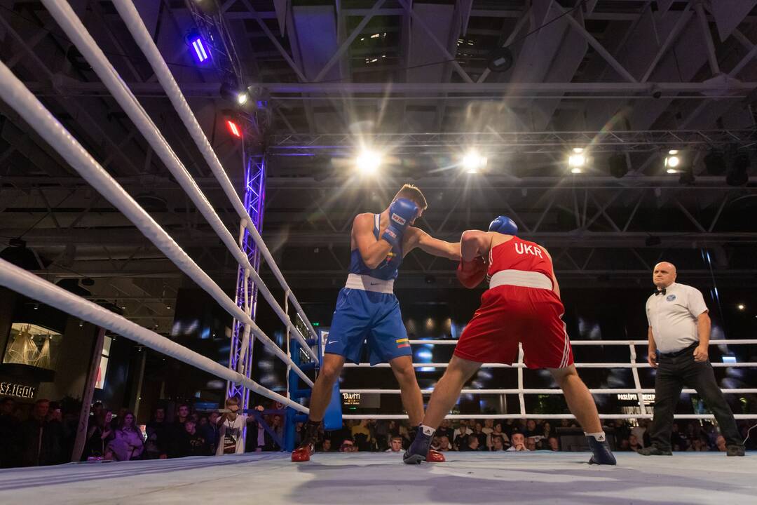 Bokso mačas „United Punch“