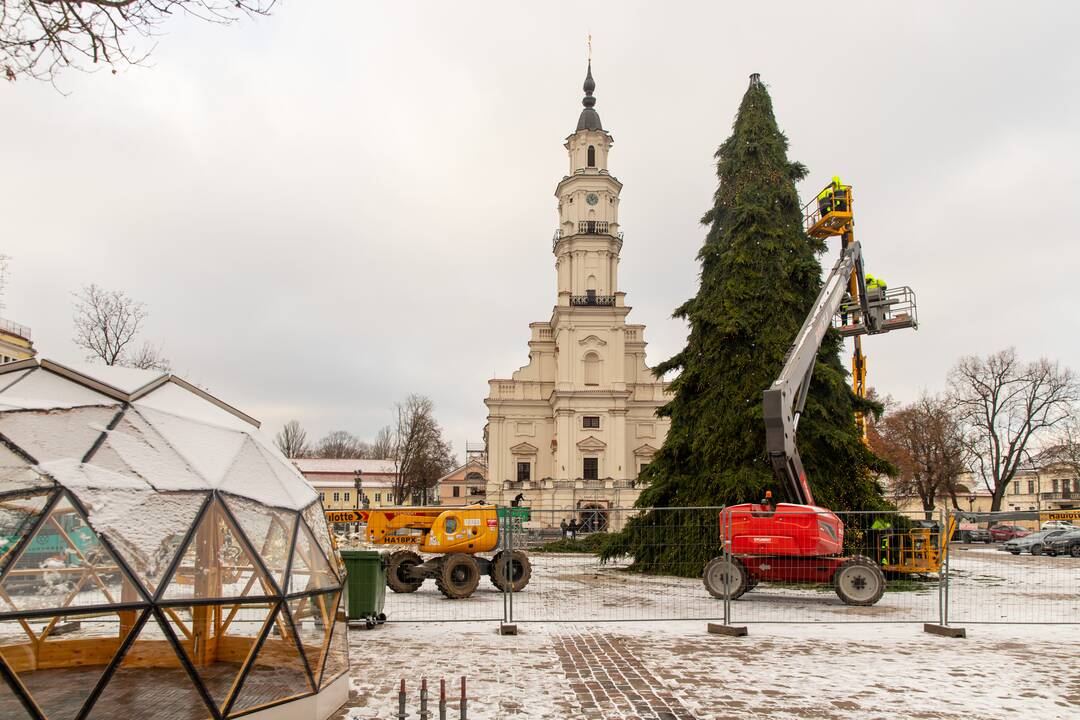 Ryškėja Kauno Kalėdų eglutės vaizdas