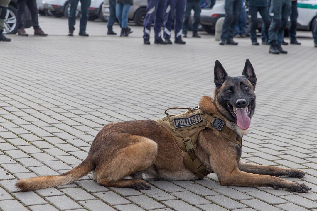 Policijos kinologų daugiakovės pirmenybių apdovanojimai