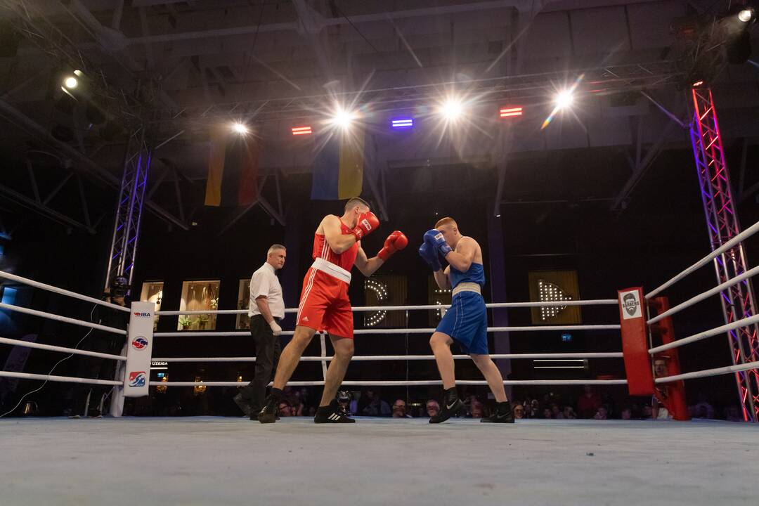 Bokso mačas „United Punch“