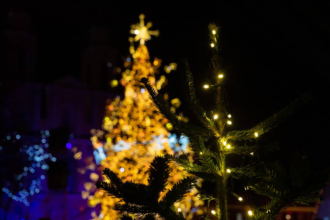 Žingsnis link Kalėdų: įžiebta žvaigždėmis puošta Kauno eglutė! 