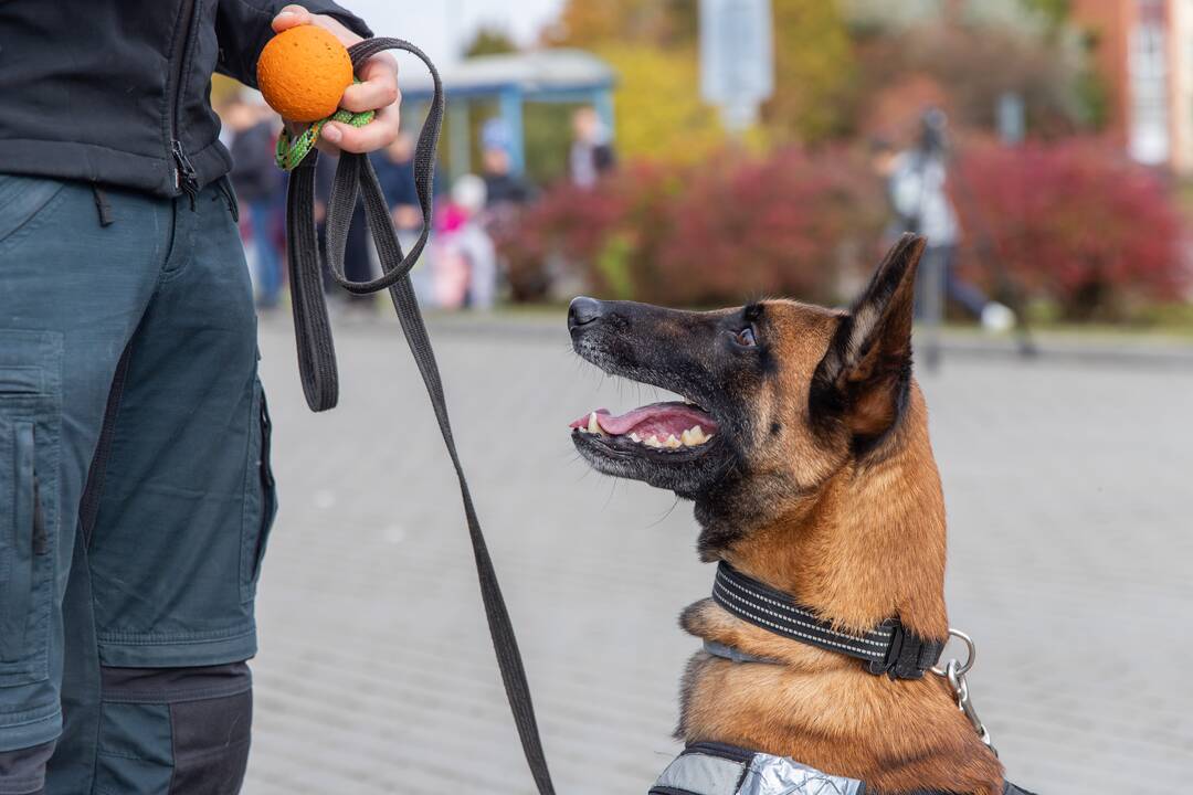 Policijos kinologų daugiakovės pirmenybių apdovanojimai