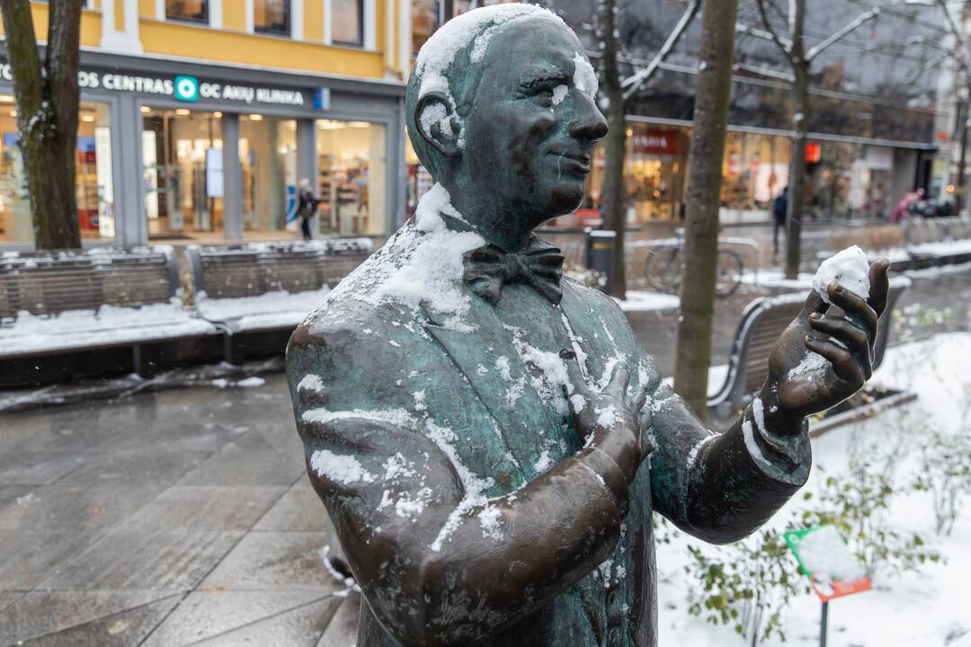 Kauną nuklojo balta sniego skraistė