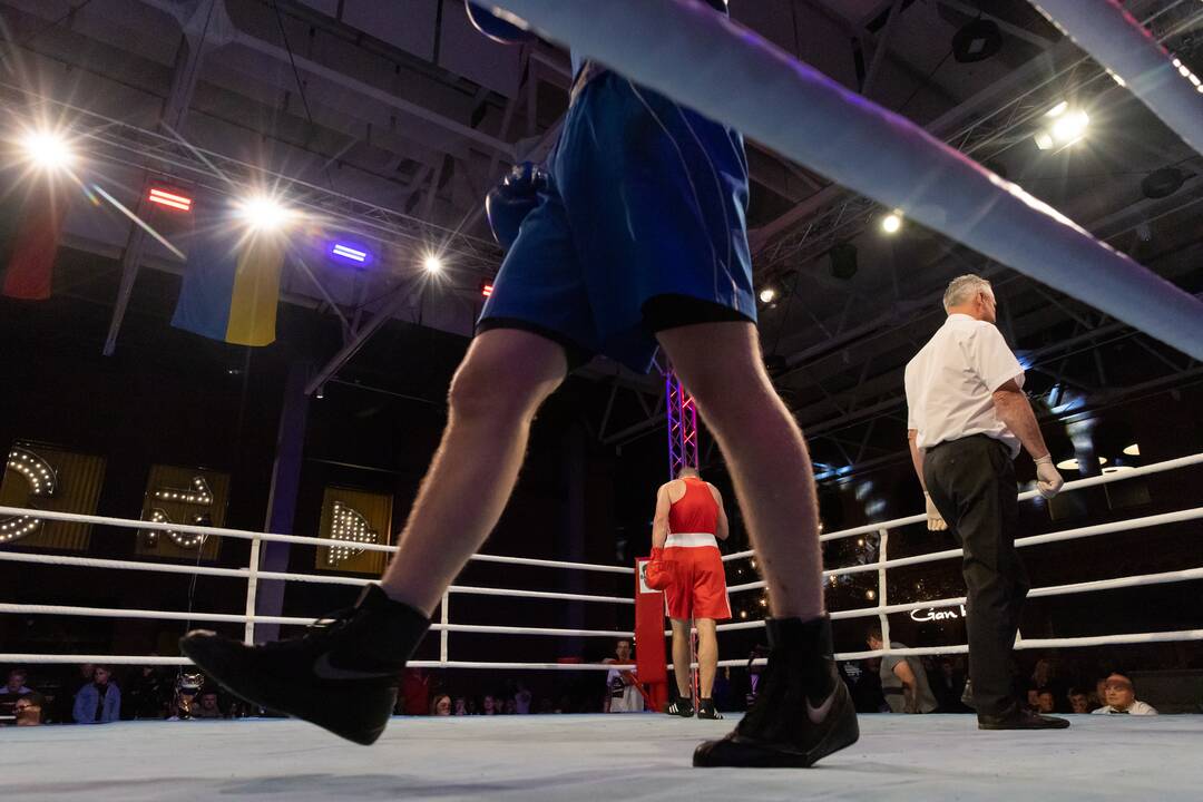 Bokso mačas „United Punch“