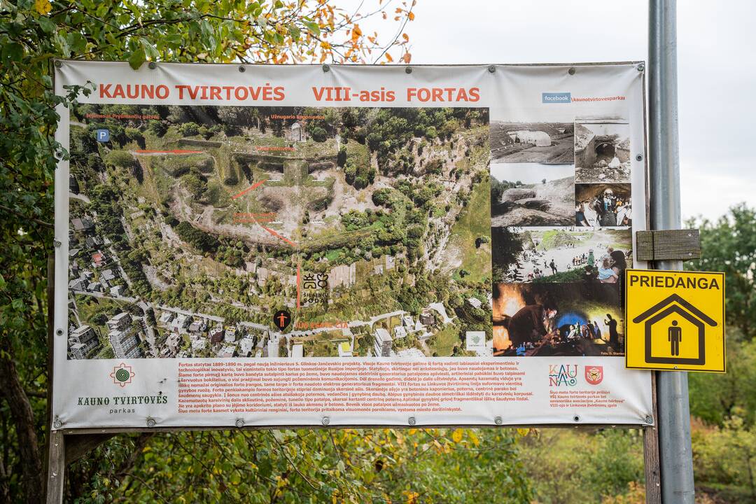 Talka VIII forte