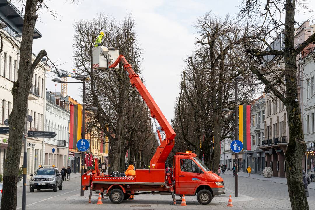 Laisvės alėjoje kertamos liepos