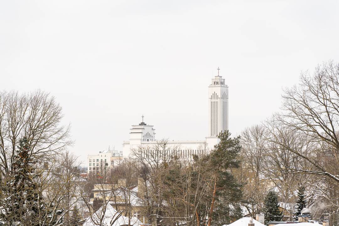 Ąžuolyno bibliotekos pristatymas 