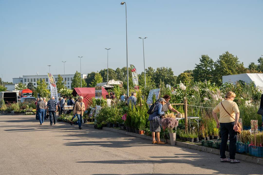 Gyvulininkystės paroda VDU Žemės ūkio akademijoje