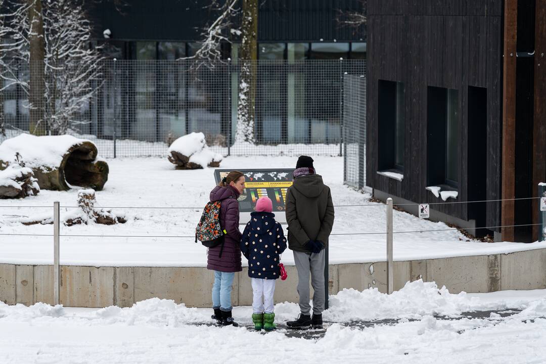 Avijaučiai Lietuvos zoologijos sode