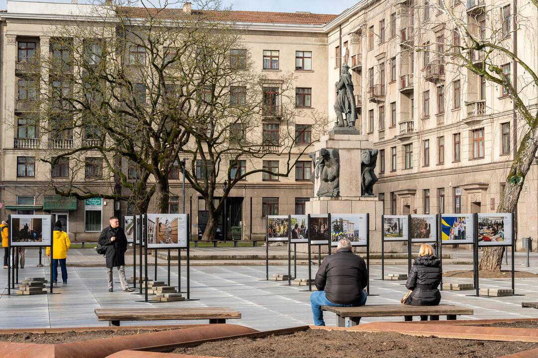 Lietuvos ir Ukrainos vėliavos Laisvės alėjoje