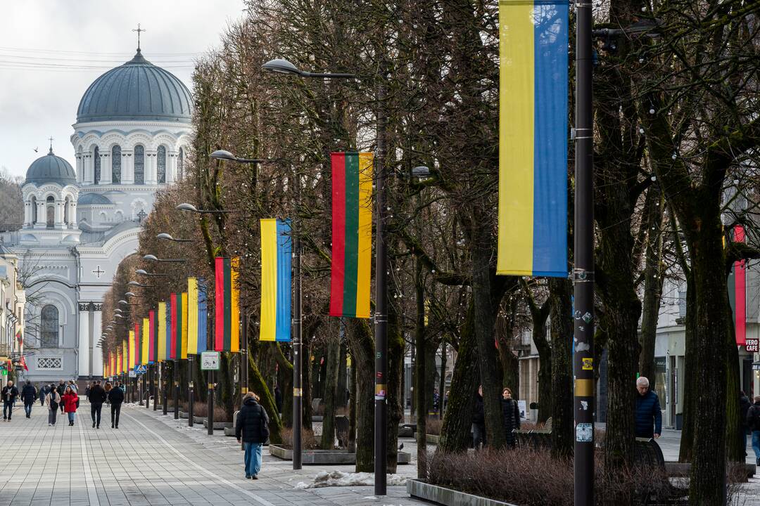 Lietuvos ir Ukrainos vėliavos Laisvės alėjoje