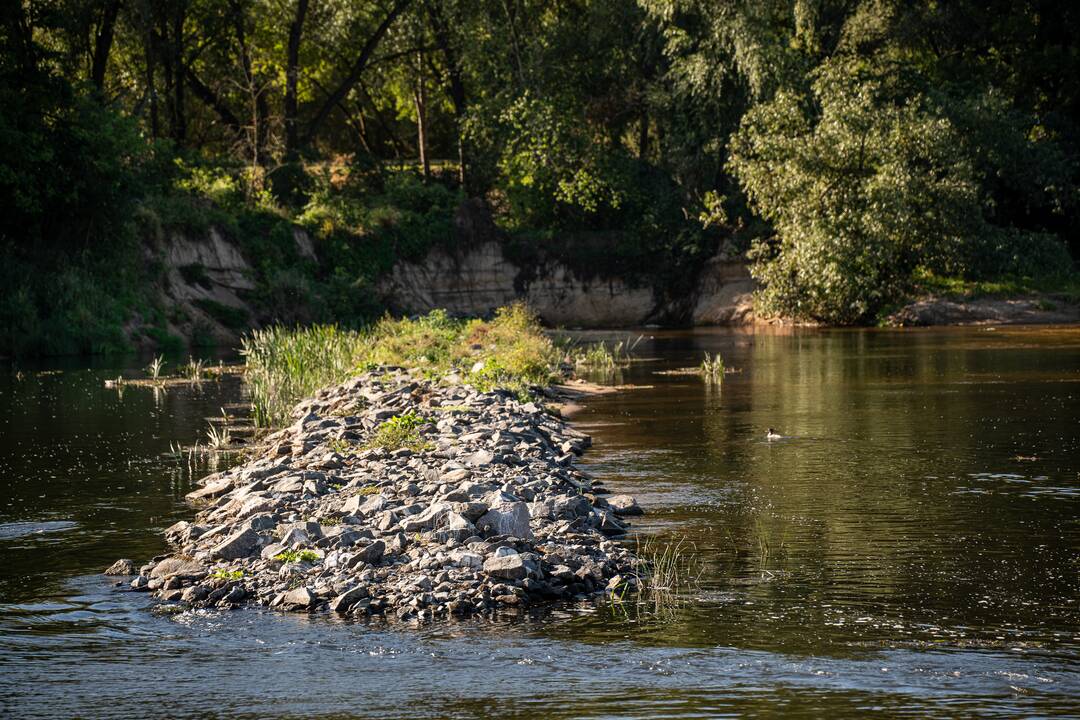 Ties Kaunu atidarytas vandens kelias Nemunu