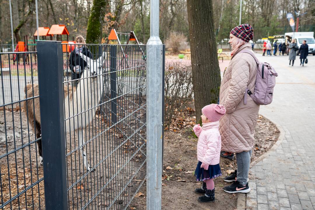 Pirmieji Lietuvos zoologijos sodo lankytojai