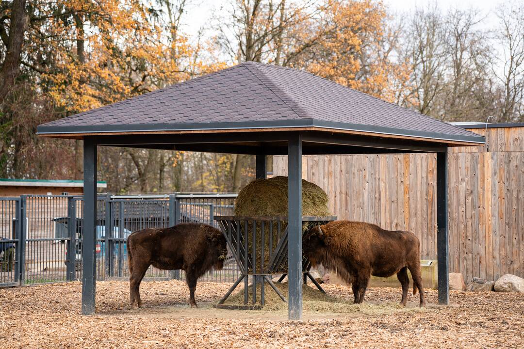 Pirmieji Lietuvos zoologijos sodo lankytojai