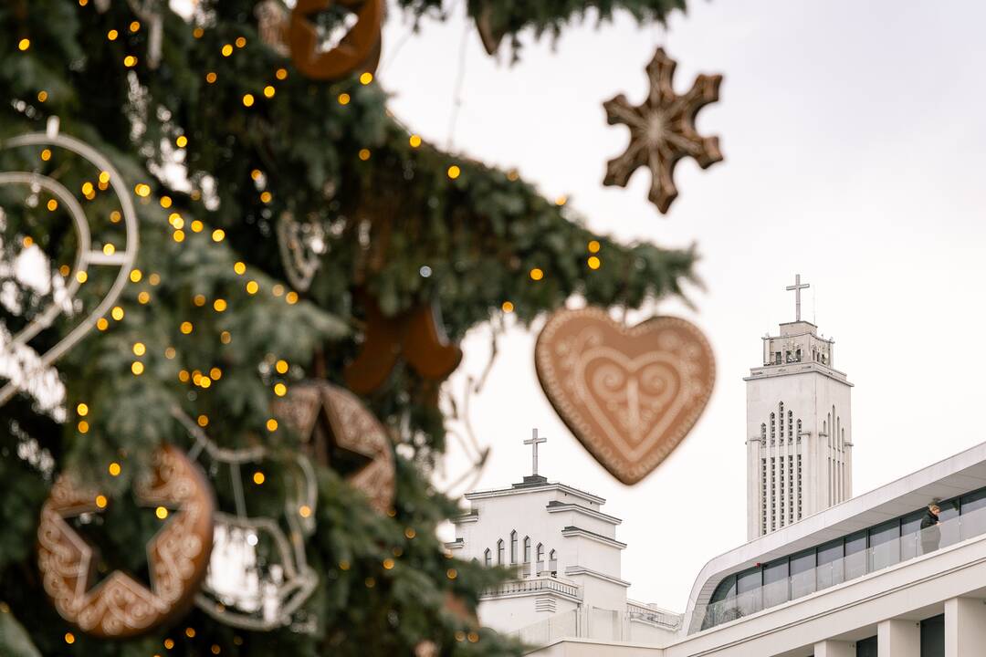 Kauno eglutė skaičiuoja paskutines dienas