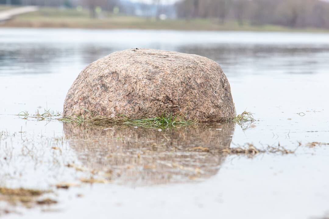 Apsemta Nemuno ir Neries santaka
