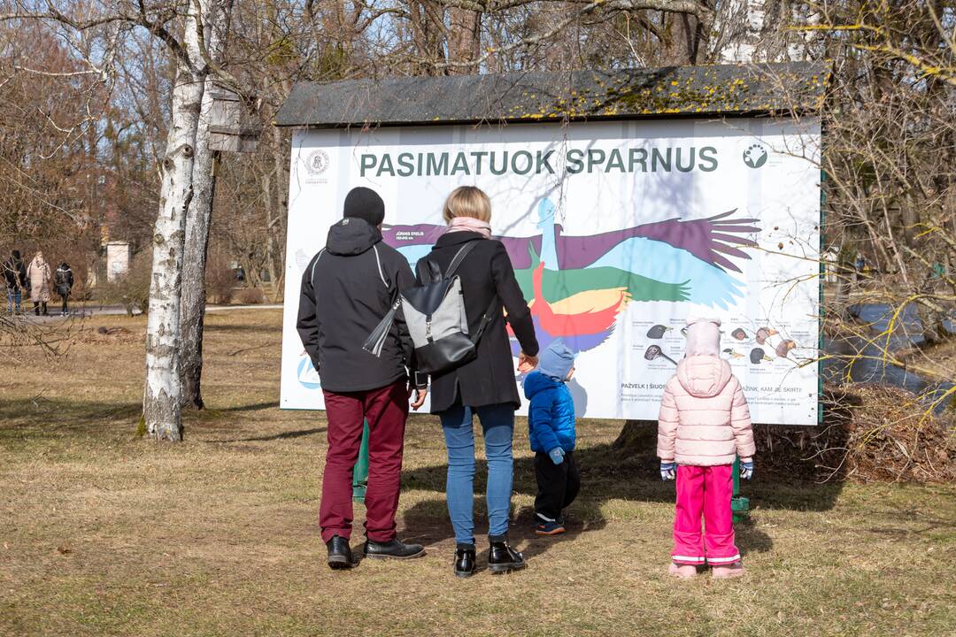 Botanikos sode tropiniai drugiai