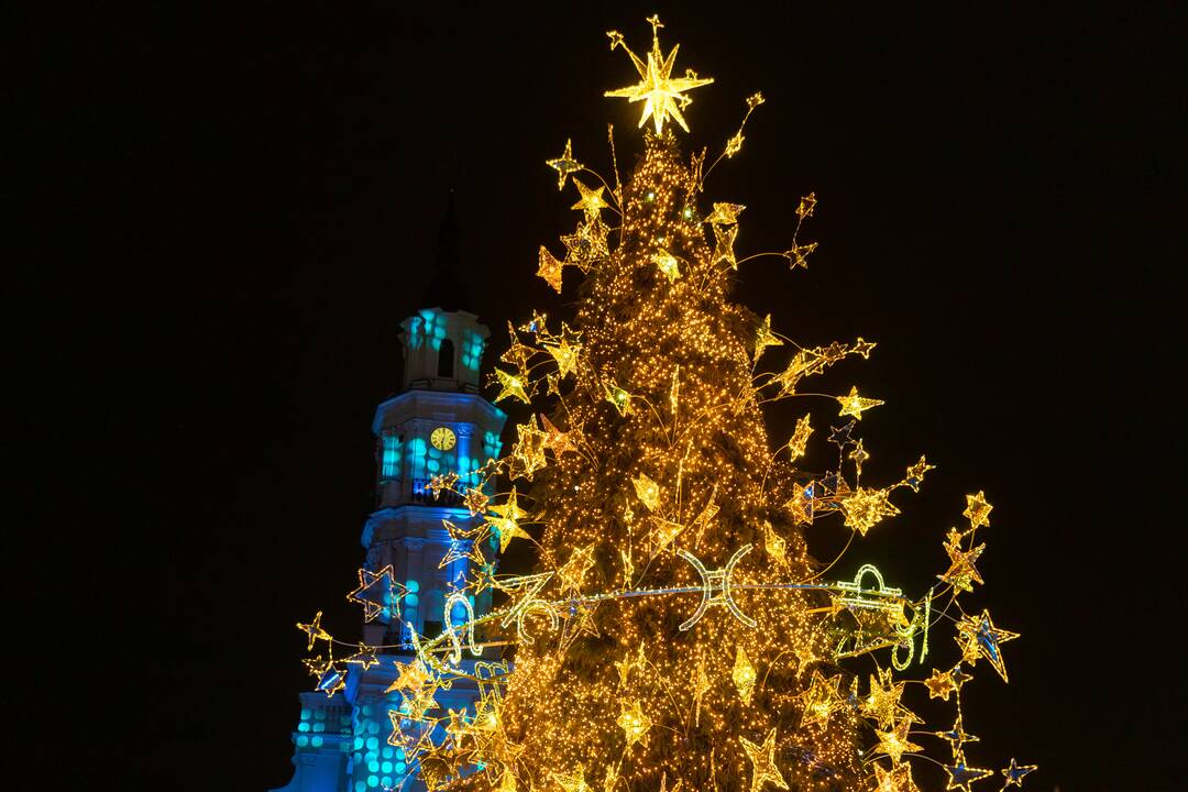Kauniečiai atsisveikina su Kalėdų egle