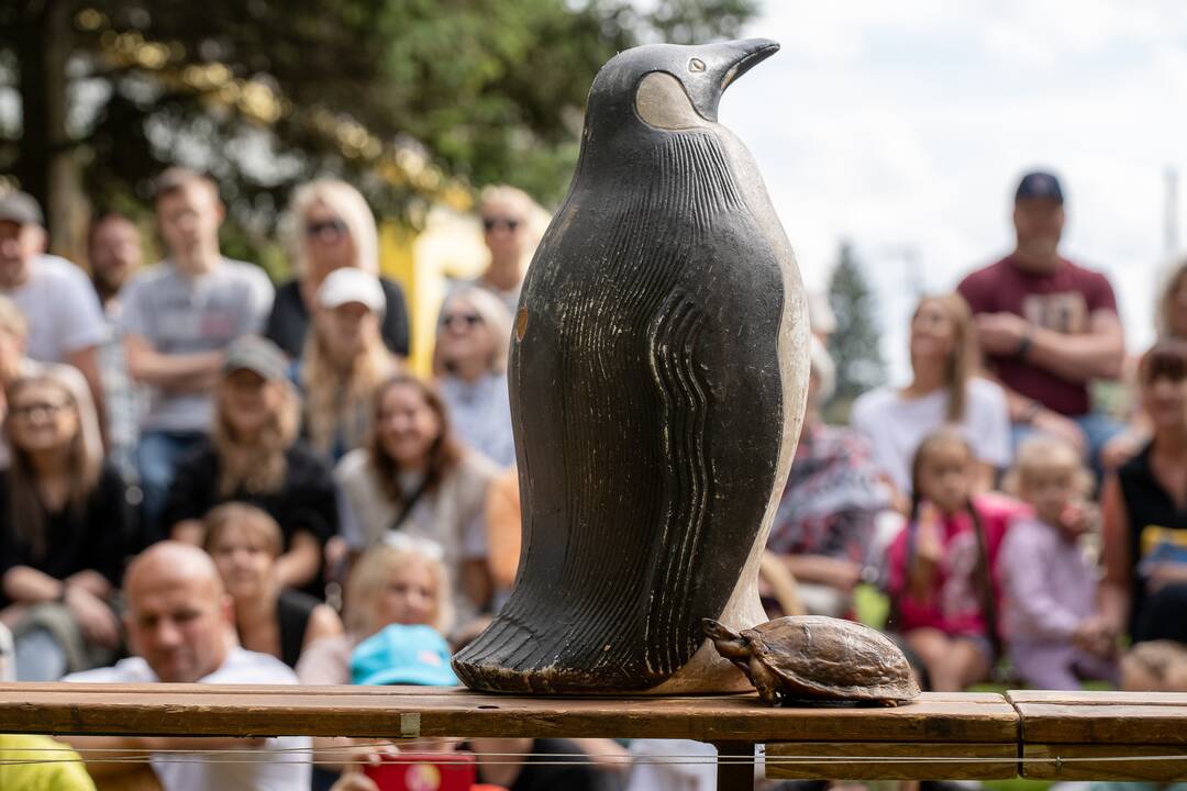 Festivalis „ConTempo“. Pieter Post (Nyderlandai) – The turtle