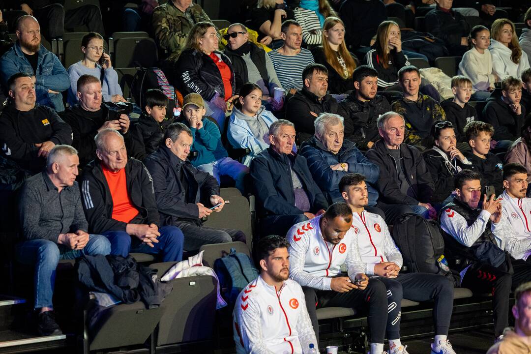 XXIX-asis tarptautinis Algirdo Šociko bokso turnyras. Finalai