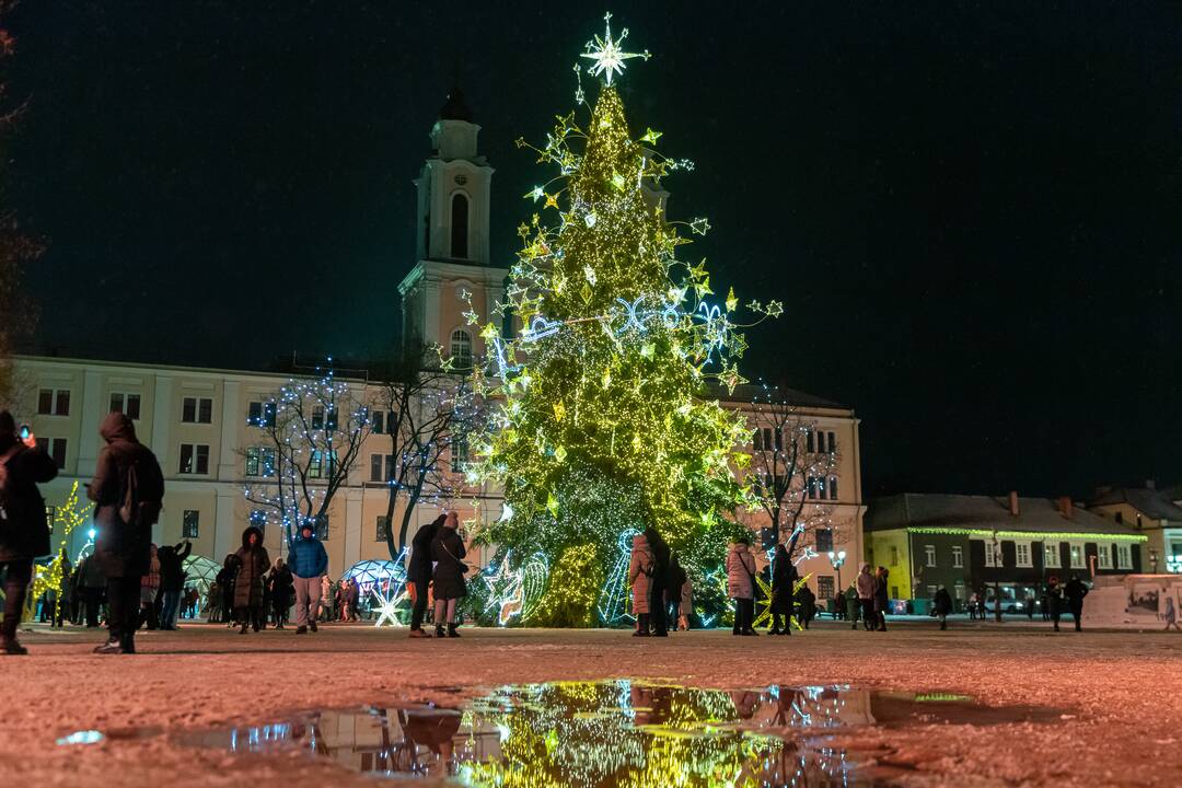Kauniečiai atsisveikina su Kalėdų egle