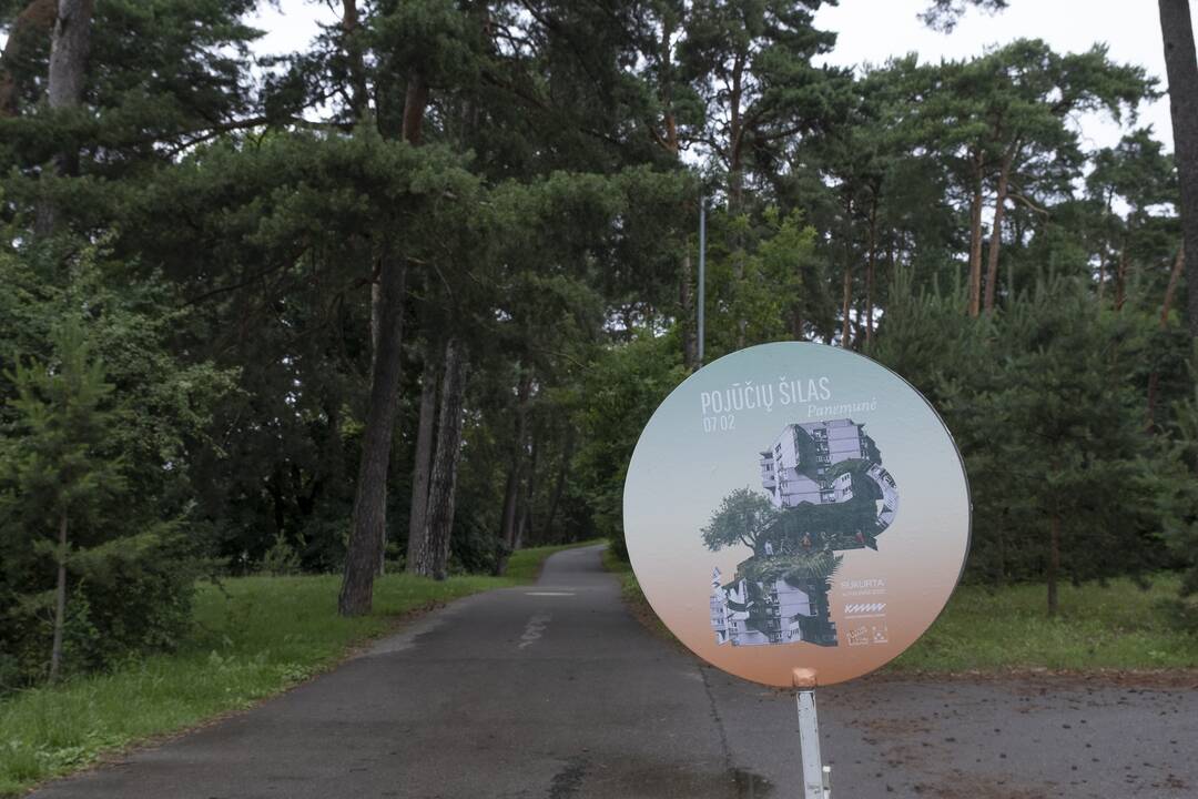 Į Panemunę sugrįžo festivalis "Pojūčių šilas"
