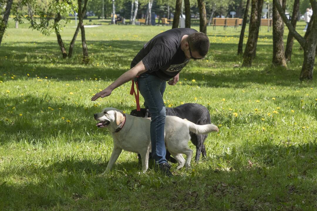 Kalniečių parke - šeimų savaitgalis su augintiniais