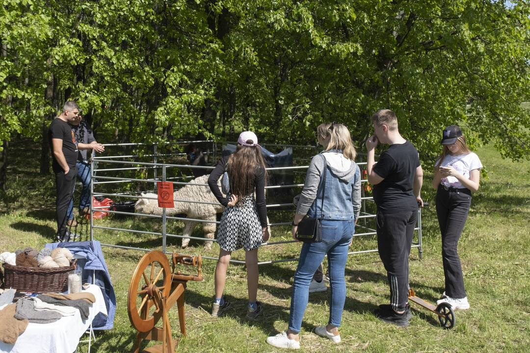 Kalniečių parke - šeimų savaitgalis su augintiniais