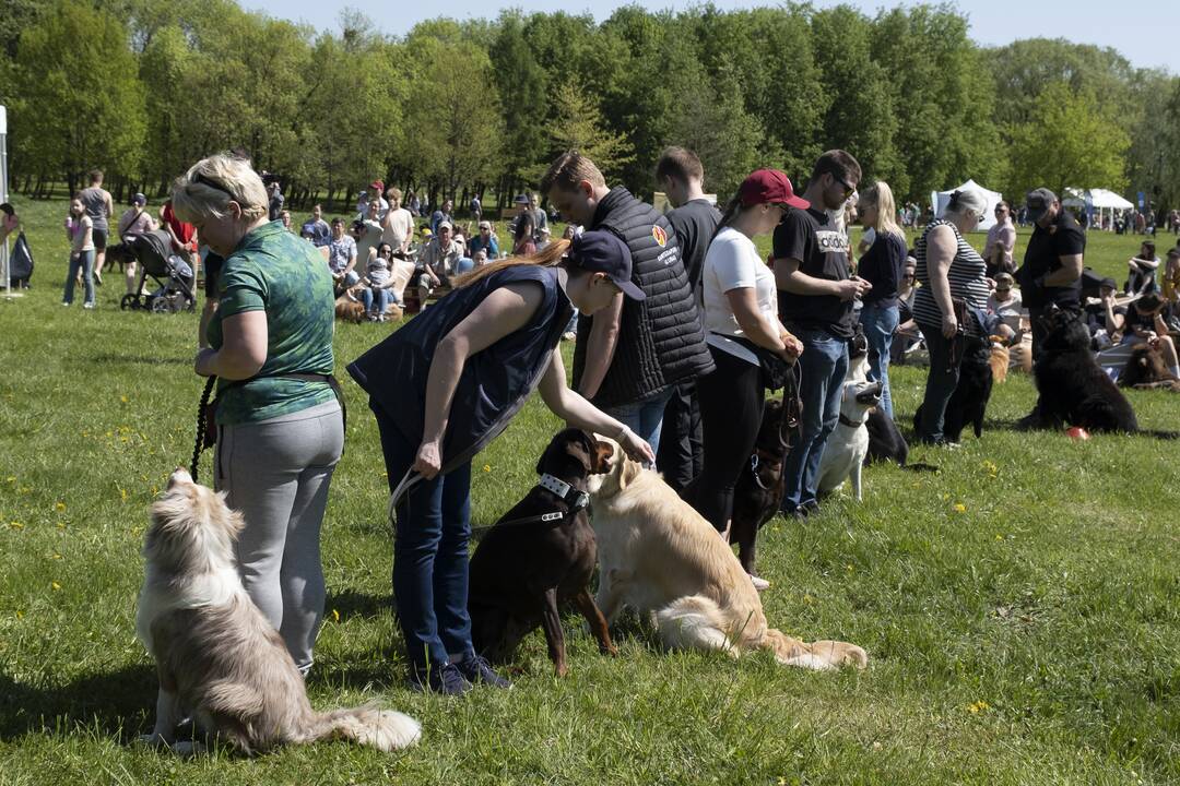 Kalniečių parke - šeimų savaitgalis su augintiniais
