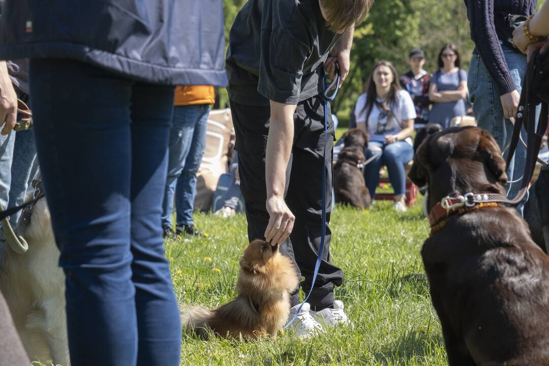Kalniečių parke - šeimų savaitgalis su augintiniais
