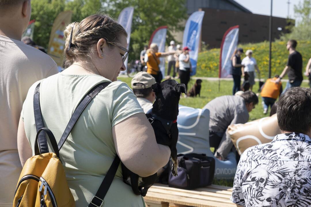 Kalniečių parke - šeimų savaitgalis su augintiniais