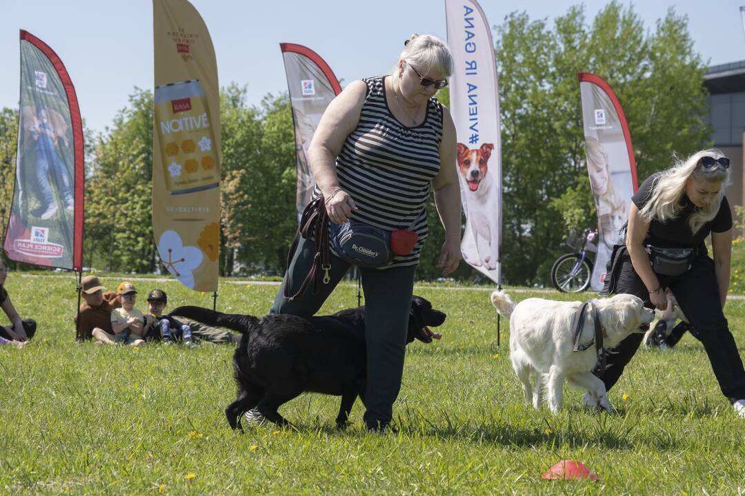 Kalniečių parke - šeimų savaitgalis su augintiniais
