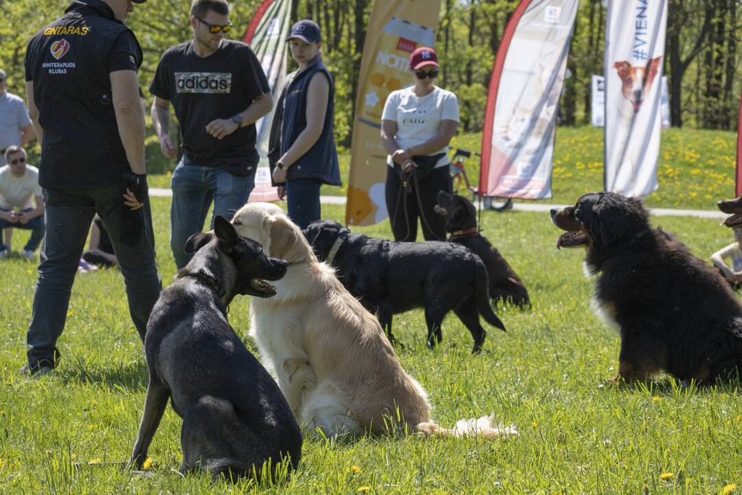 Kalniečių parke - šeimų savaitgalis su augintiniais