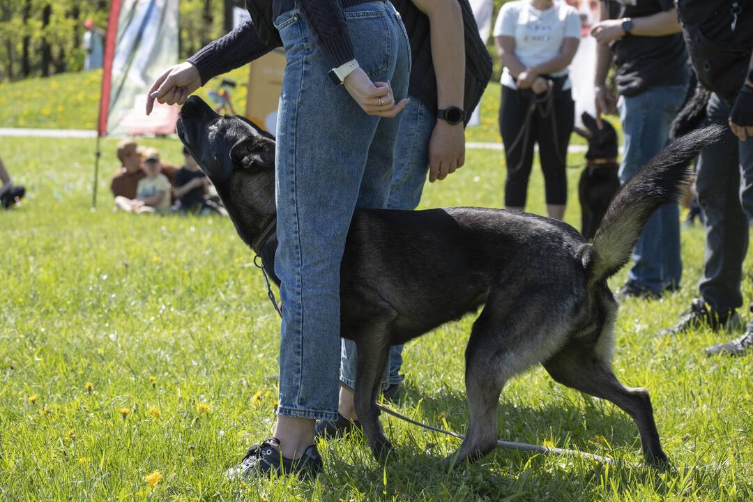 Kalniečių parke - šeimų savaitgalis su augintiniais