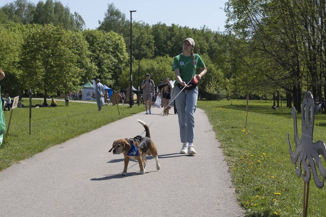 Kalniečių parke - šeimų savaitgalis su augintiniais