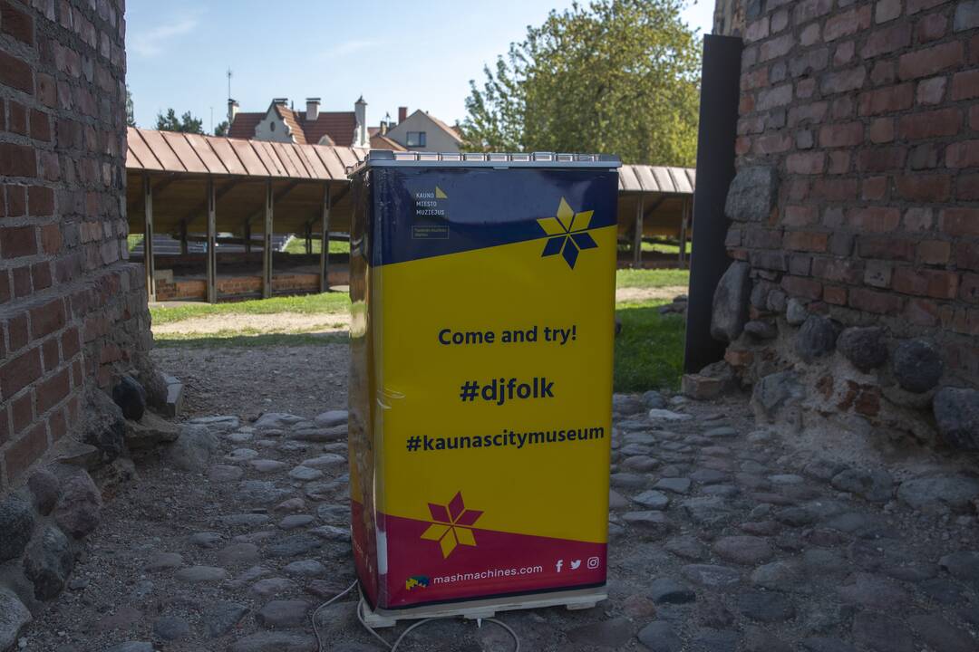Šeimadienis prie Kauno pilies