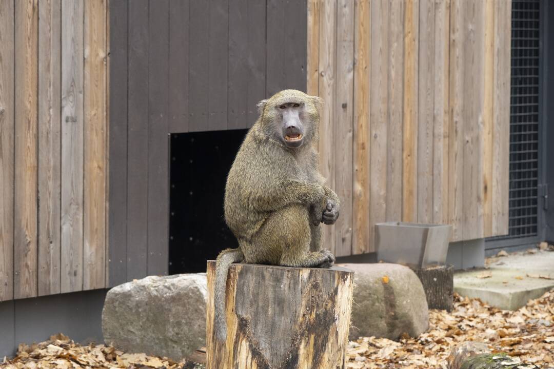 Lietuvos Zoologijos sodo atidarymas