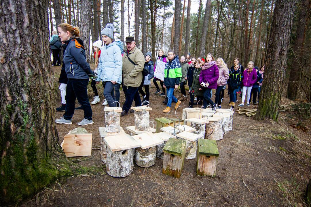 Grįžtantiems paukščiams – nauji inkilai