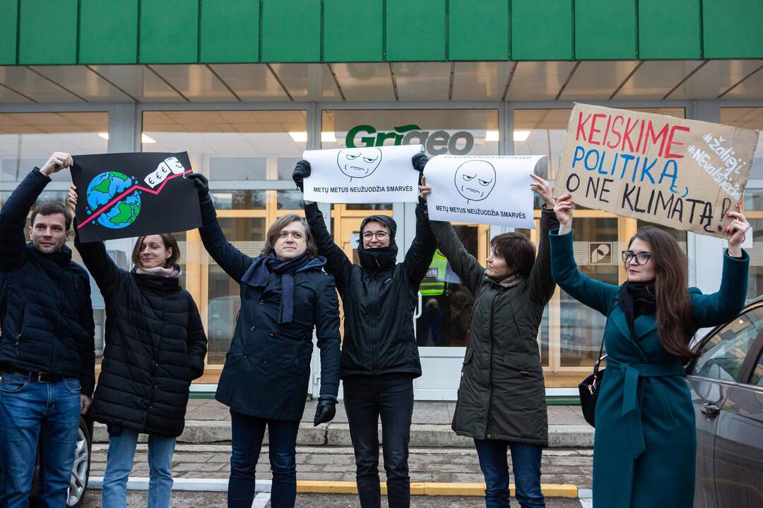 NVO atstovė: Lietuvos aplinkosauga yra viešieji ryšiai prieš ES