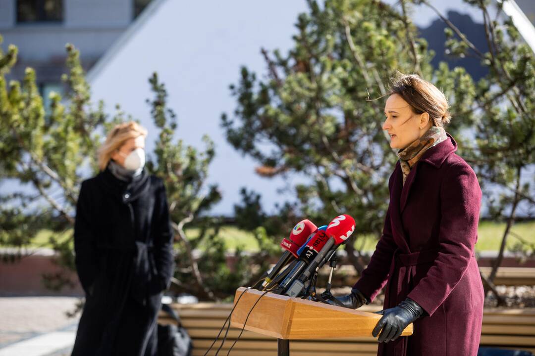 Seimo opozicijos atstovų spaudos konferencija