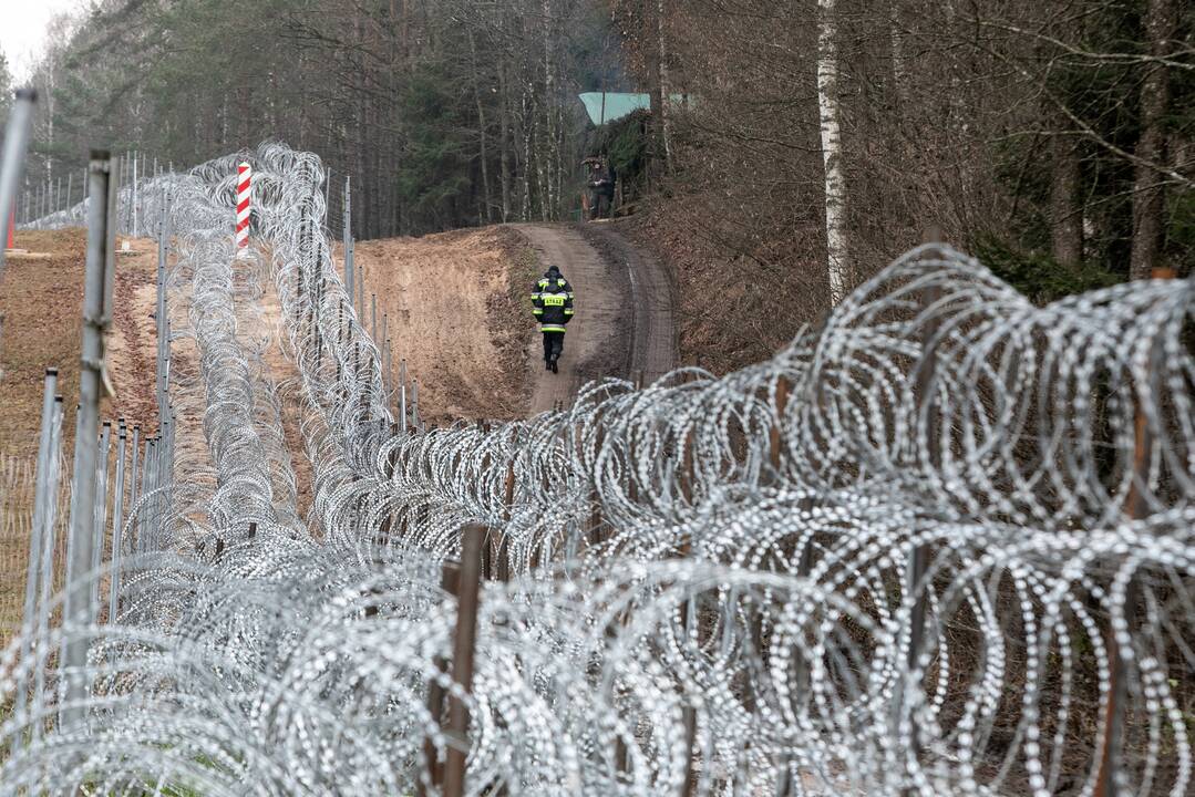 Pasienyje su Baltarusija – ramu: nefiksuota neteisėtų migrantų