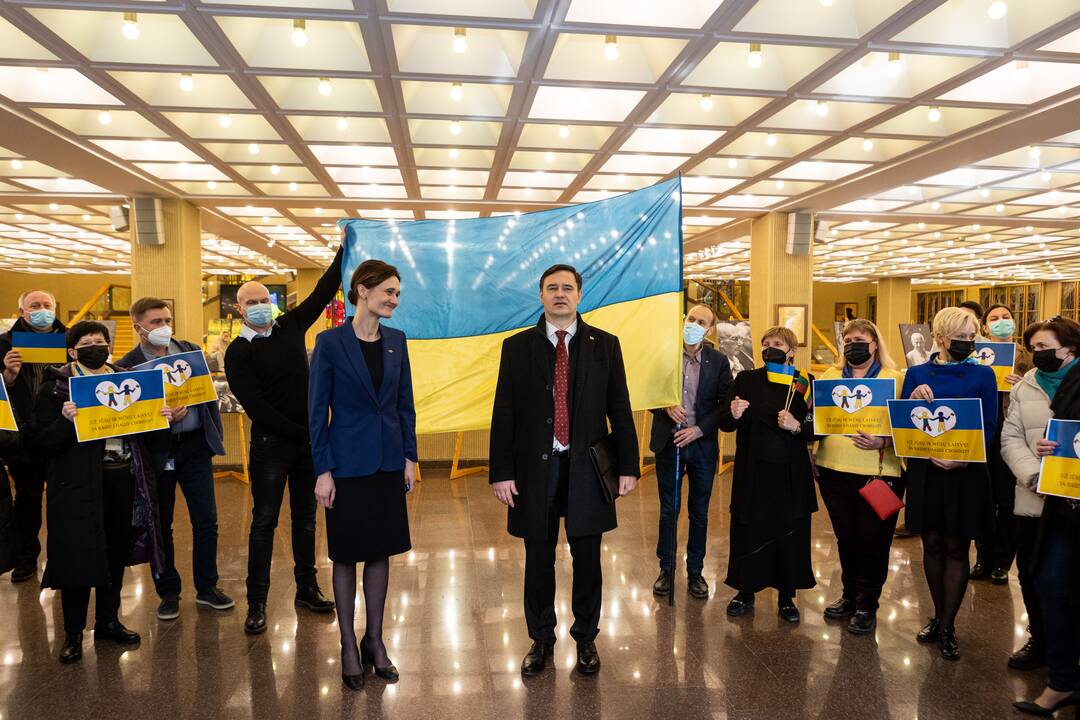 Seimo pirmininkė susitiko su Ukrainos ambasadoriumi