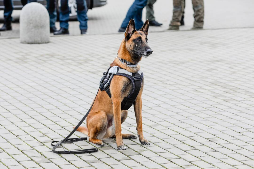 Policijos kinologų daugiakovės pirmenybių apdovanojimai