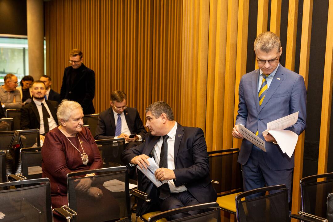 Demokratų sąjungos „Vardan Lietuvos“ valdybos posėdis