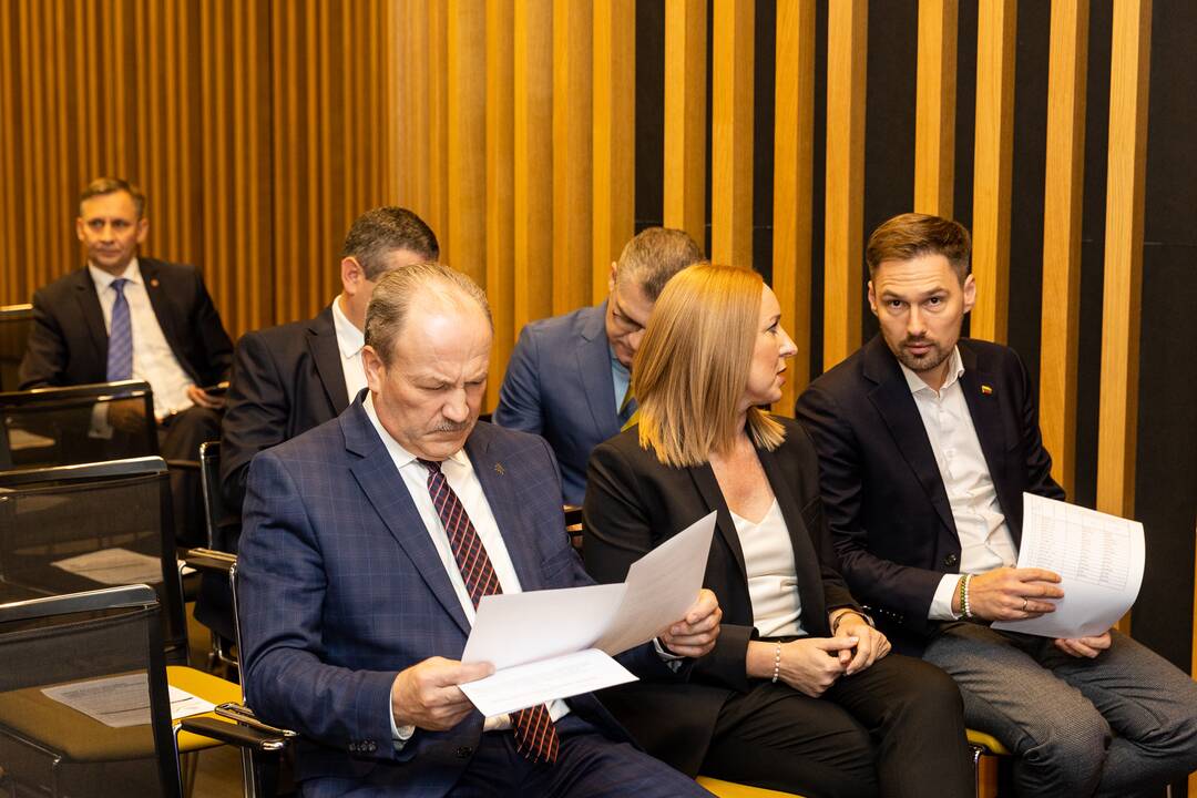 Demokratų sąjungos „Vardan Lietuvos“ valdybos posėdis